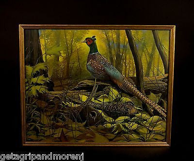 AUGUST HOLLOW 1940s Pheasants In Foliage 17.5" x 21" Lithograph Print