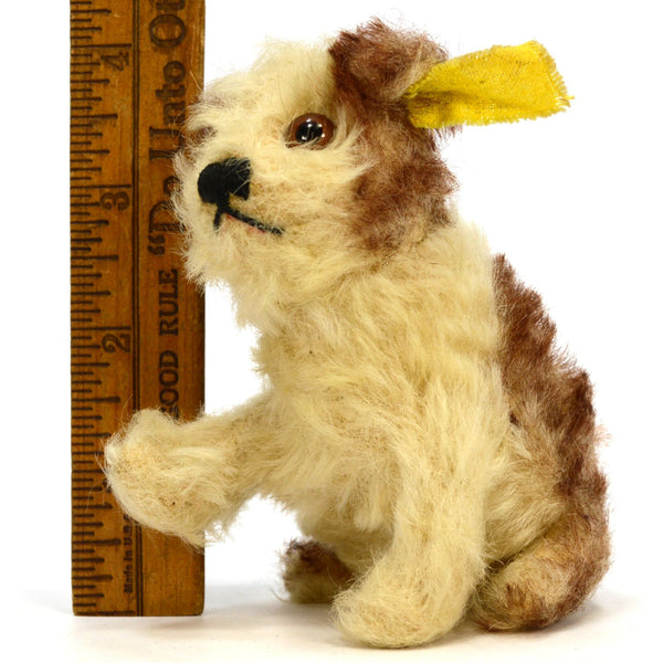 Vintage STEIFF "MOLLY" YOUNG DOG #3310,00 BROWN & WHITE 3" Sitting SWIVEL HEAD!