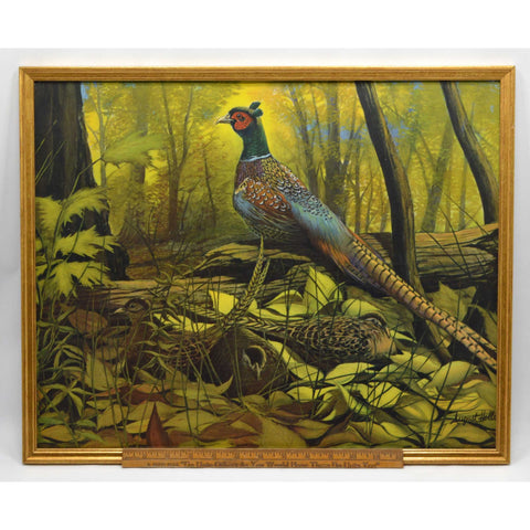 Vintage "AUGUST HOLLAND" FRAMED LITHO PRINT Pheasant in Nature "G.P. 18508" Nice