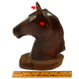 Vintage CARVED WOODEN HORSE HEAD/BUST (Lignum Vitae?) 7" Dense/Heavy SOLID WOOD!