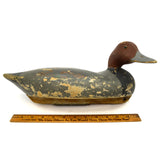 Vintage REDHEAD DRAKE DUCK DECOY Early WILDFOWLER Signed LDB Old Saybrook c.1940