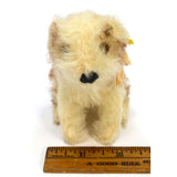 Vintage STEIFF "MOLLY" YOUNG DOG #3310,00 LT. TAN & WHITE 3" Sitting SWIVEL HEAD