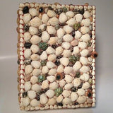 Jewlery Trinket Vintage Box Beautifully Adorned With Seashells