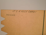 Cardboard Vintage Post Card - Funny Vintage!